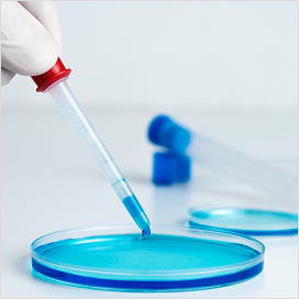 Lion’s Mane Extract